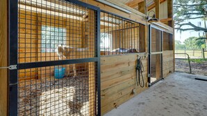 A stable with wooden walls and metal gates, containing horses and a blue bucket. - Farm Stay: Modern Barndominium in Lakeland! (Lakeland)