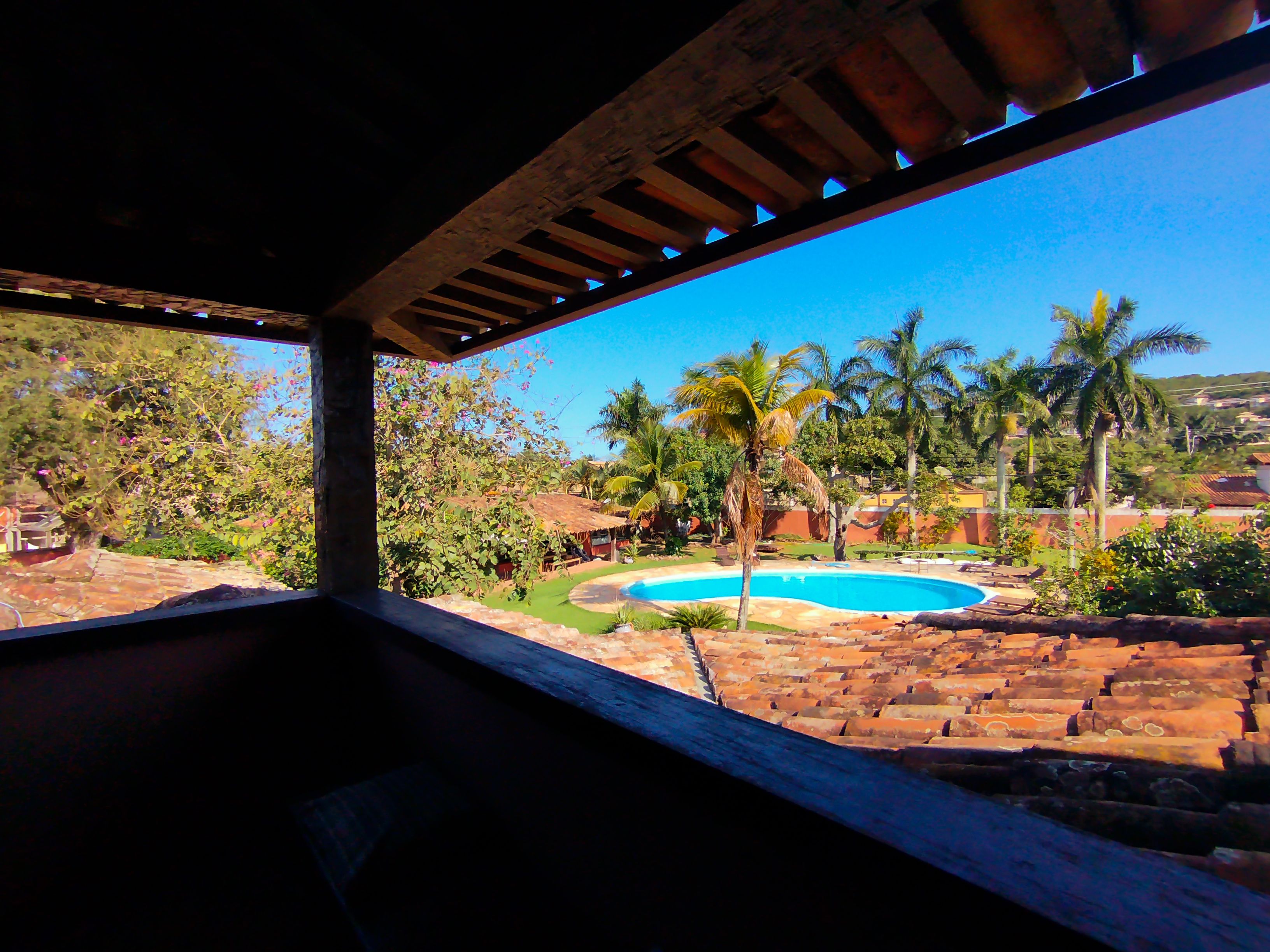 Vista desde un espacio cubierto con piscina, palmeras y un muro de ladrillo.