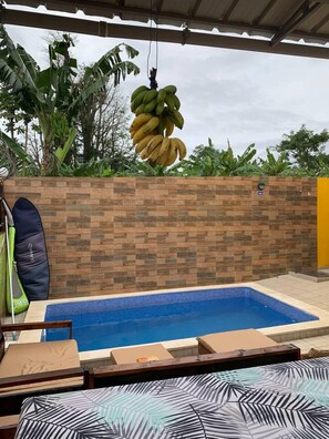 Villa | Pool | Outdoor pool - Pool and Beach Villa in Santana (Santana)