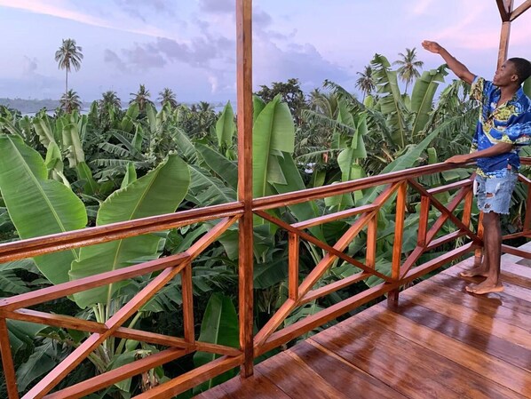 Villa | Property grounds - Pool and Beach Villa in Santana (Santana)