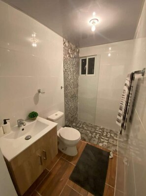 Shower, hair dryer, towels, soap