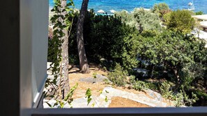 Vista de una zona costera con un árbol destacado en primer plano y un mar azul y transparente al fondo.