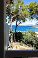 Vista de una zona costera con un árbol destacado en primer plano y un mar azul y transparente al fondo.