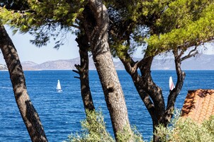 Escena costera con un velero en el agua, rodeado de árboles y una cadena montañosa distante.