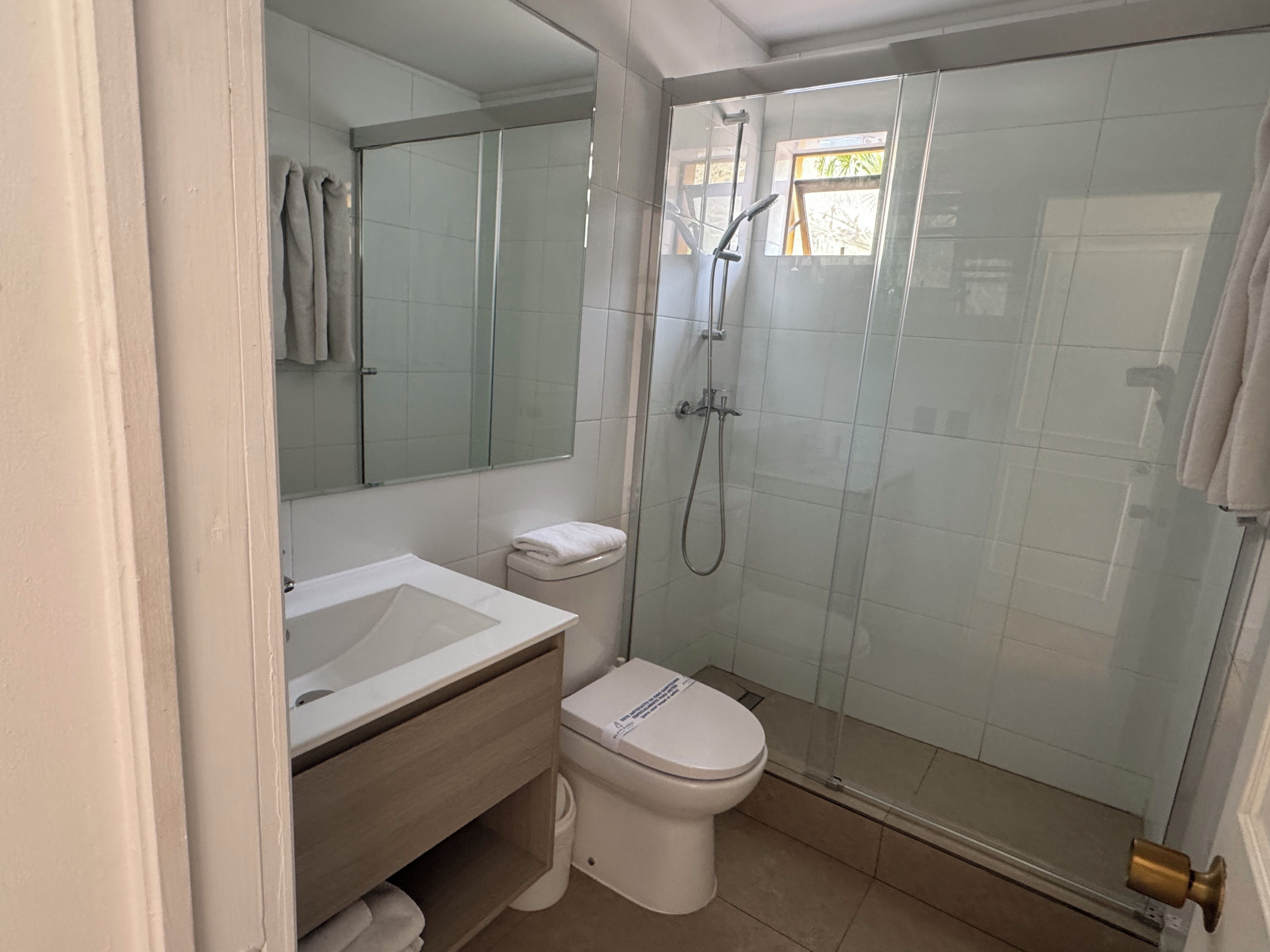 Un baño con ducha cubierta por vidrio, un lavamanos blanco y un inodoro.