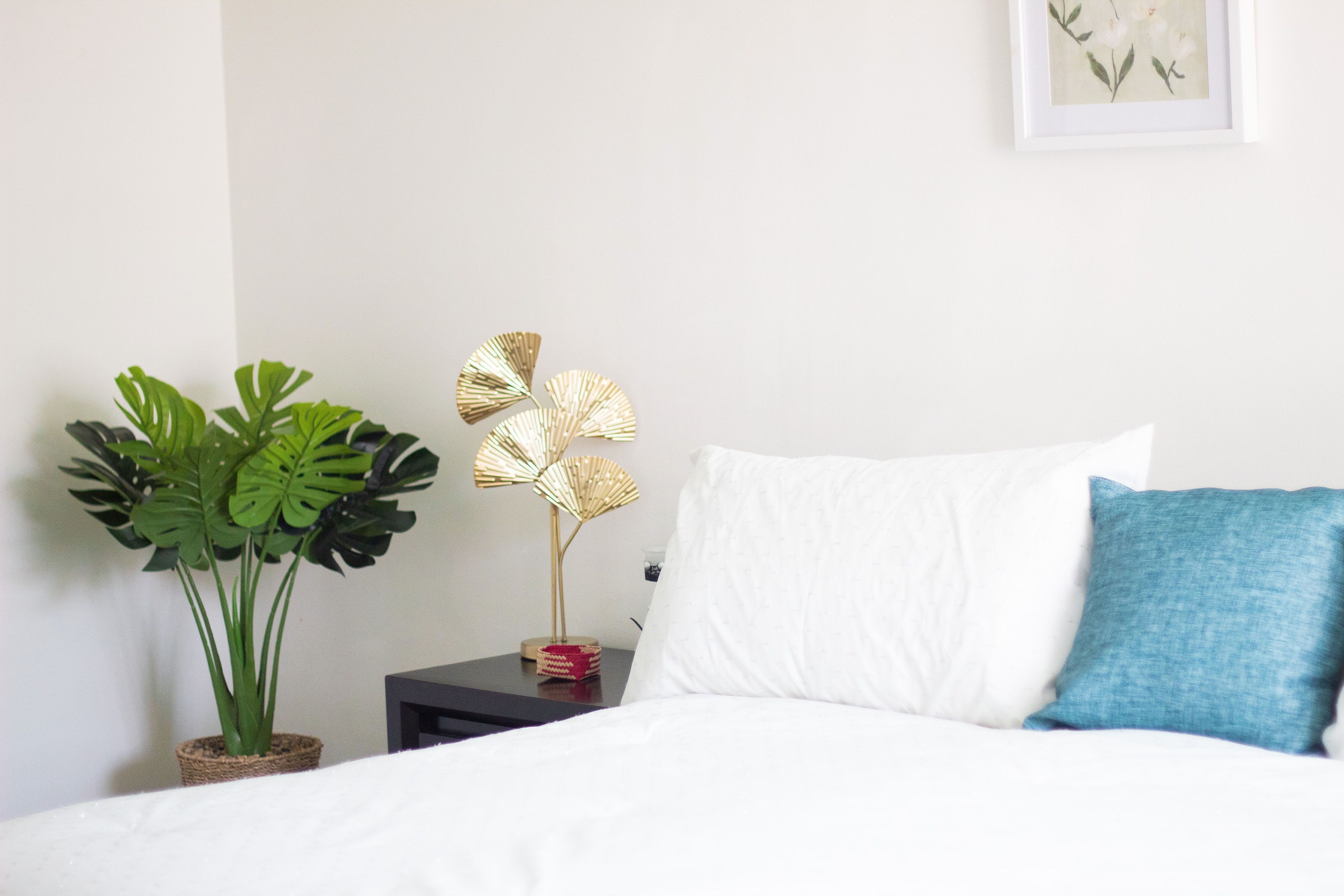 3 bedroom house in the heart of Colonia Reforma 10 minutes from downtown