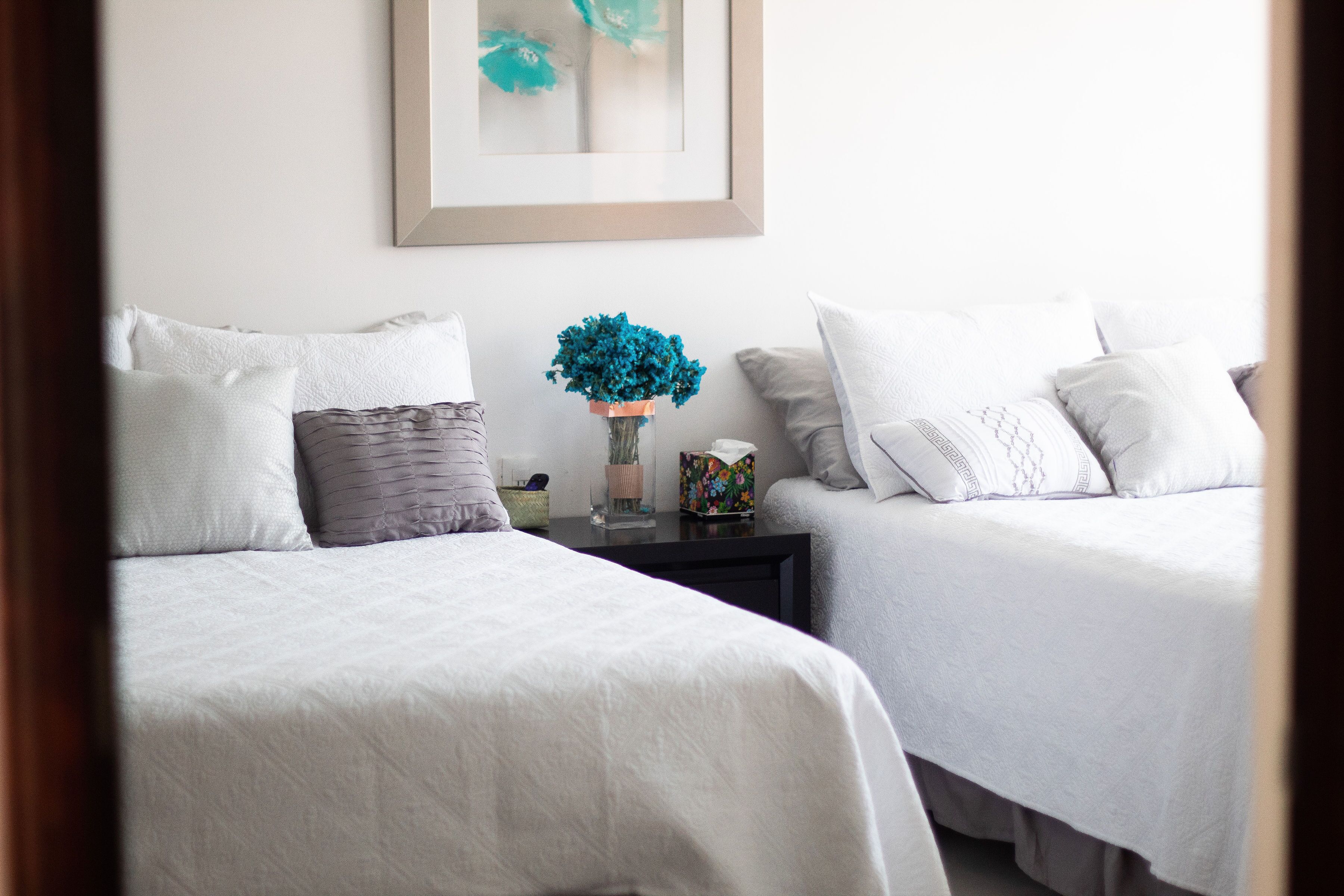 3 bedroom house in the heart of Colonia Reforma 10 minutes from downtown