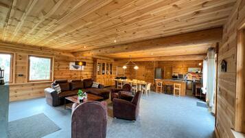 TV, fireplace, books