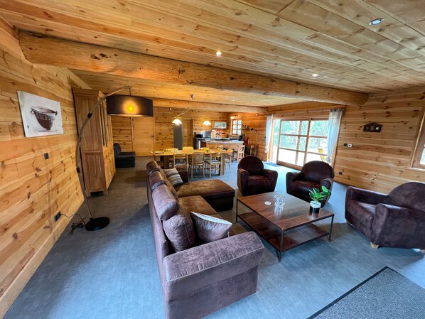 TV, fireplace, books