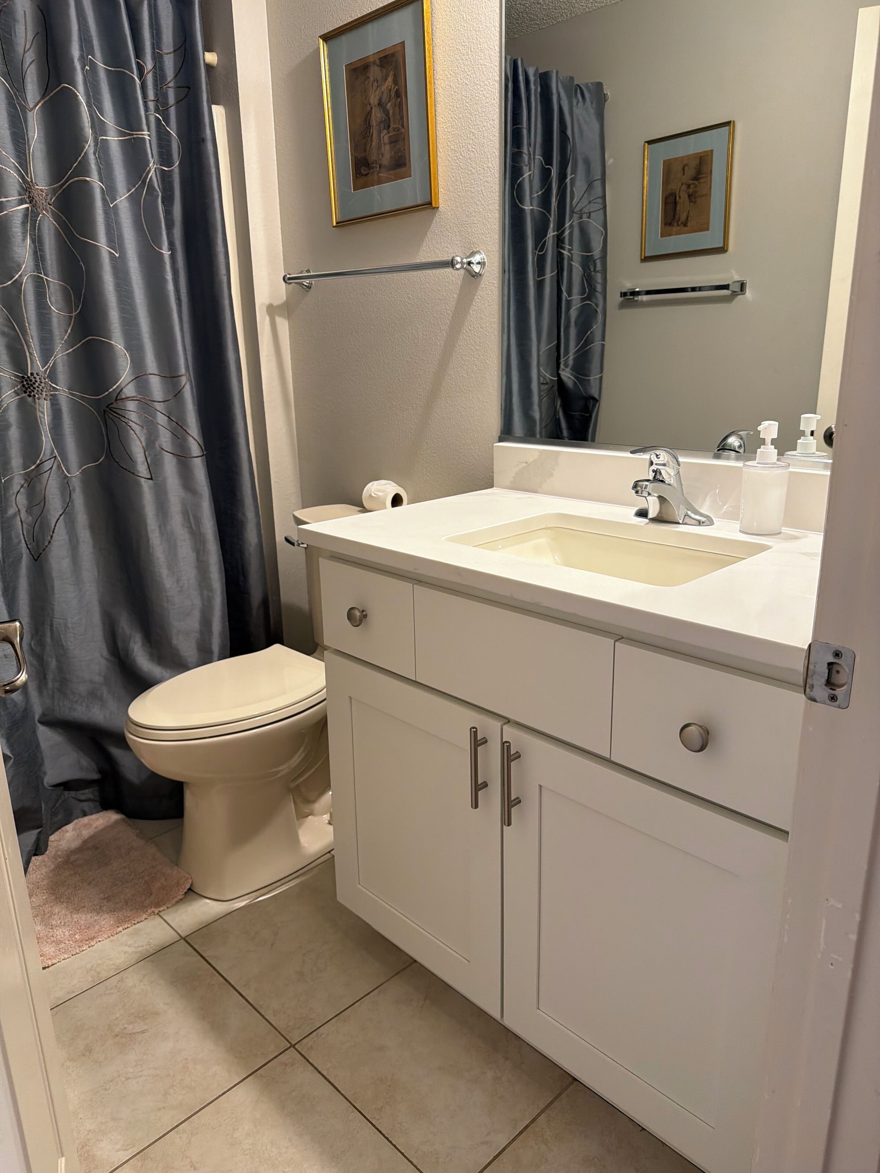 Une salle de bain avec des toilettes, un lavabo et un miroir. Deux tableaux encadrés sont accrochés au mur, au-dessus du miroir.