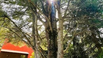 Área da propriedade