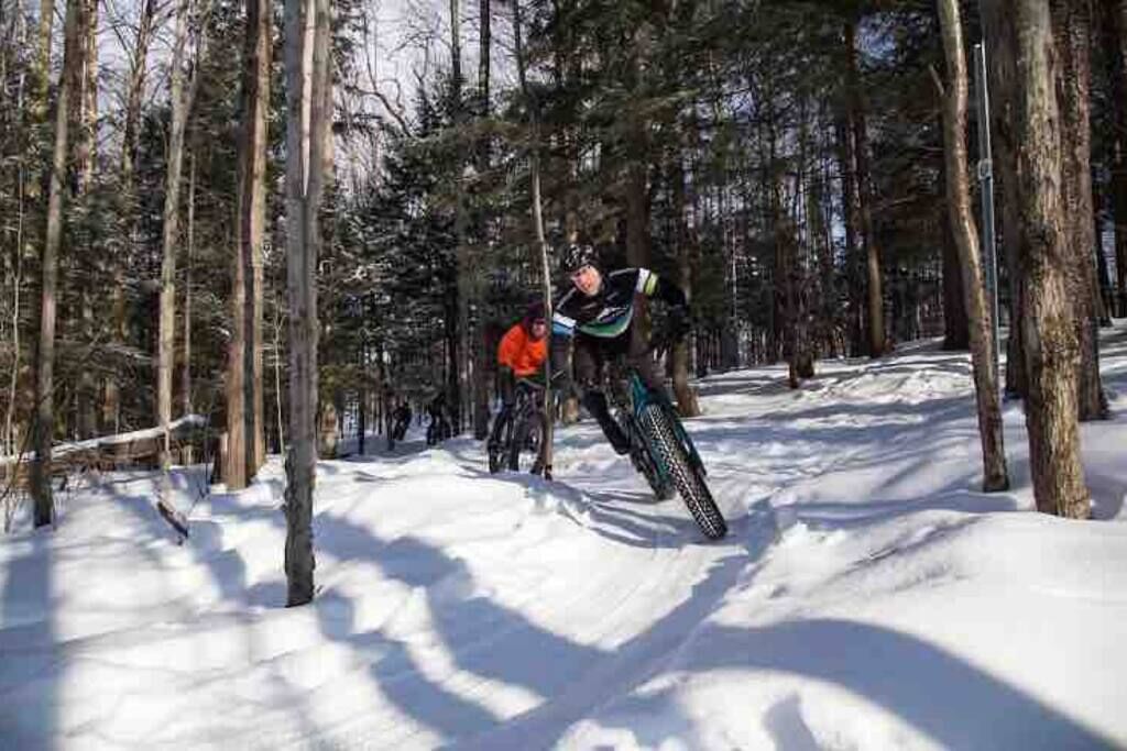 Eine Person snowboardet in einem verschneiten Wald.
