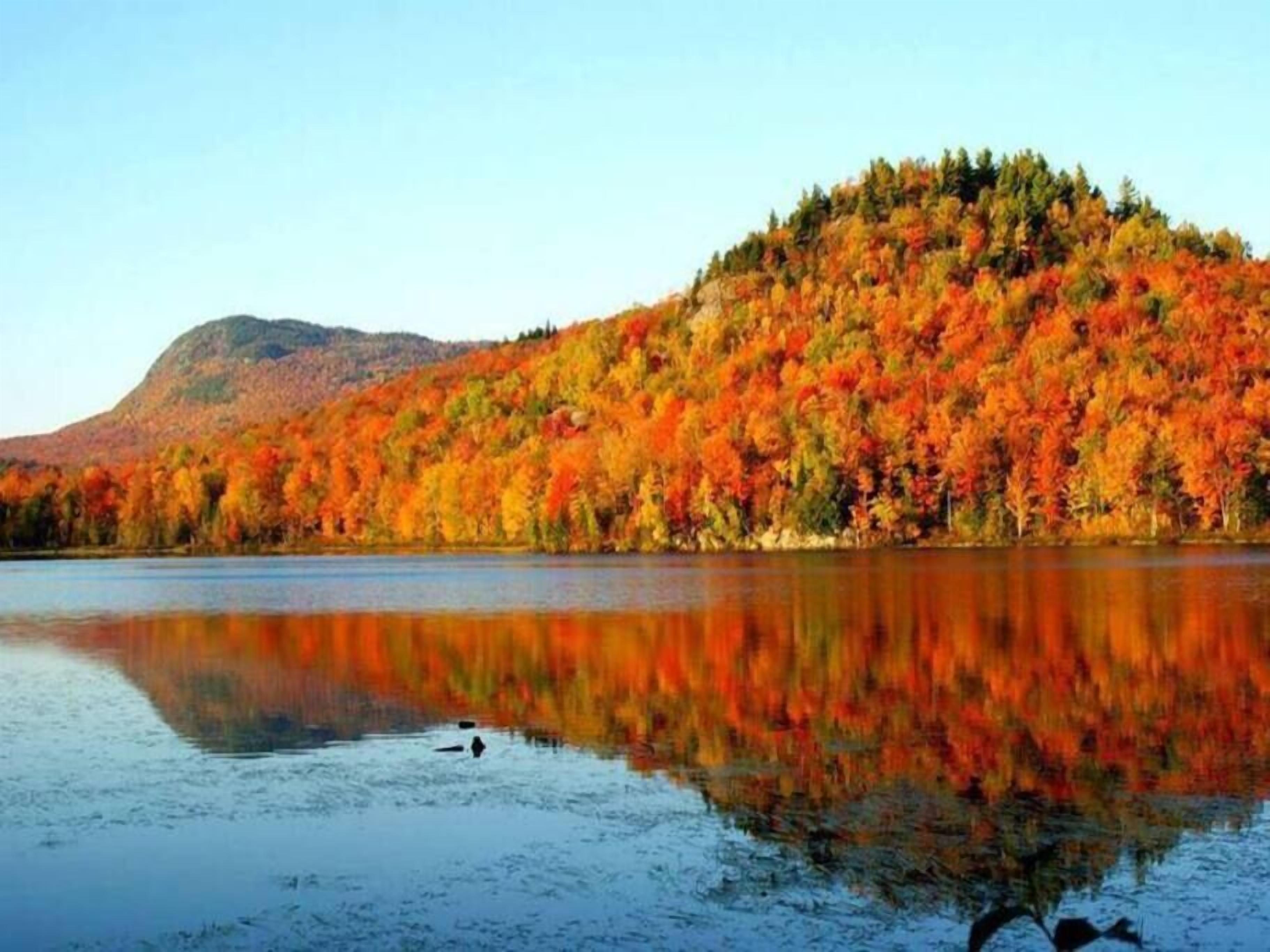 Ein ruhiger See mit Spiegelung eines bewaldeten Hügels.
