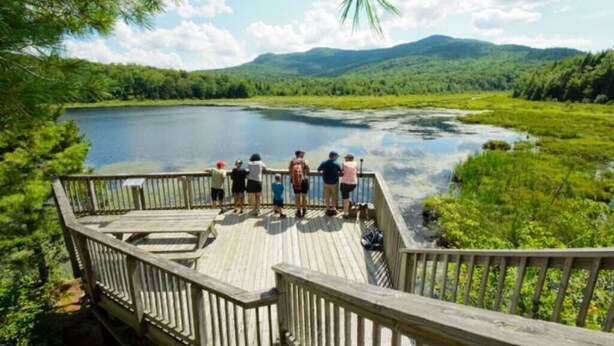 Una pasarela de madera con vistas a un lago y un paisaje boscoso al fondo.