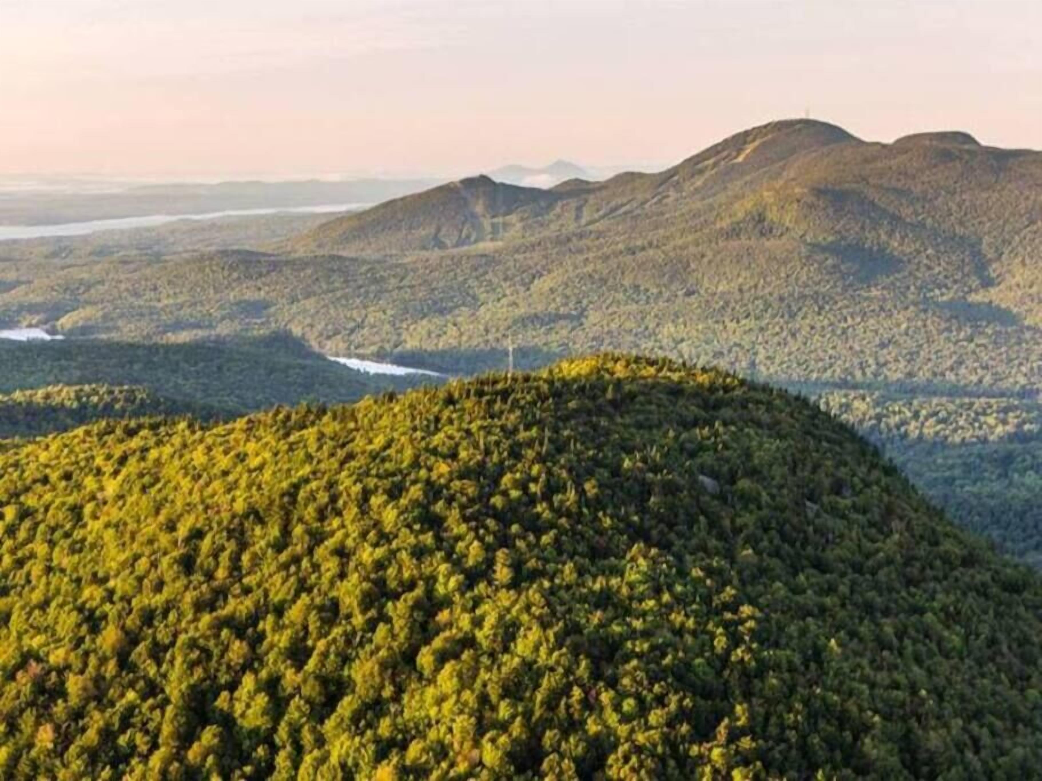 A forested mountain landscape with a winding river.
