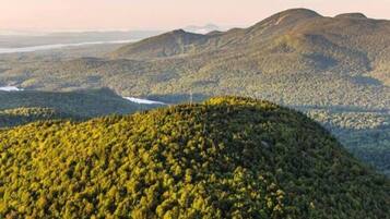 A forested mountain landscape with a winding river.