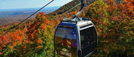 A cable car with "MONT-ORFORD" written on it, suspended over a forested landscape.