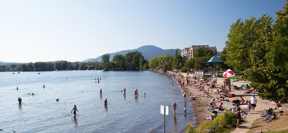 Une plage où l’on voit des gens nager et bronzer, un grand parasol et, au loin, un bâtiment surmonté d’un toit végétalisé.