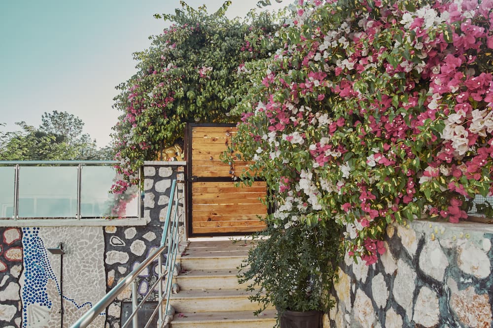 Villa Nordic Dream