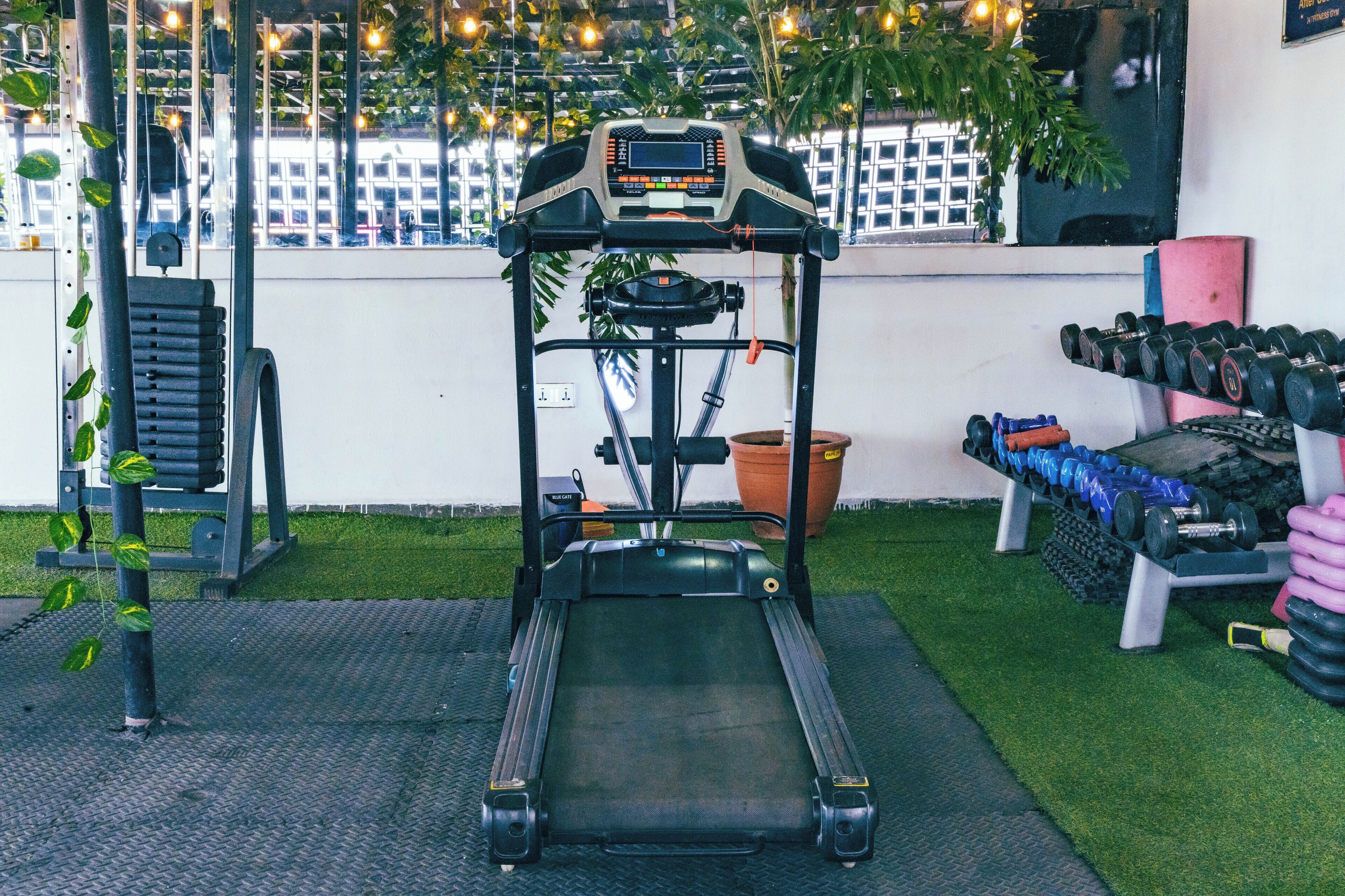 A gym with a treadmill, weights, and a small plant.