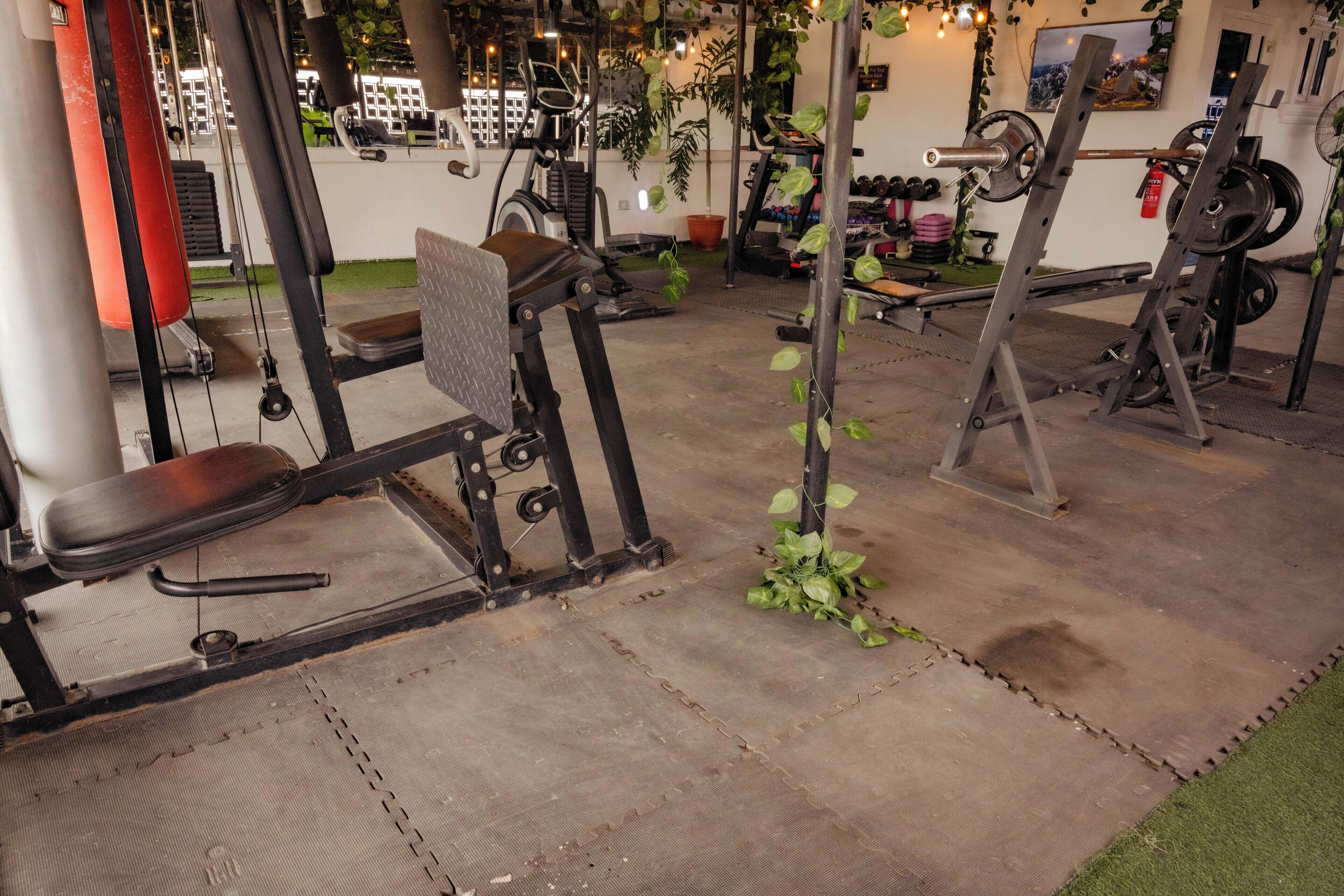 A gym with exercise equipment, a bench, and a small plant.