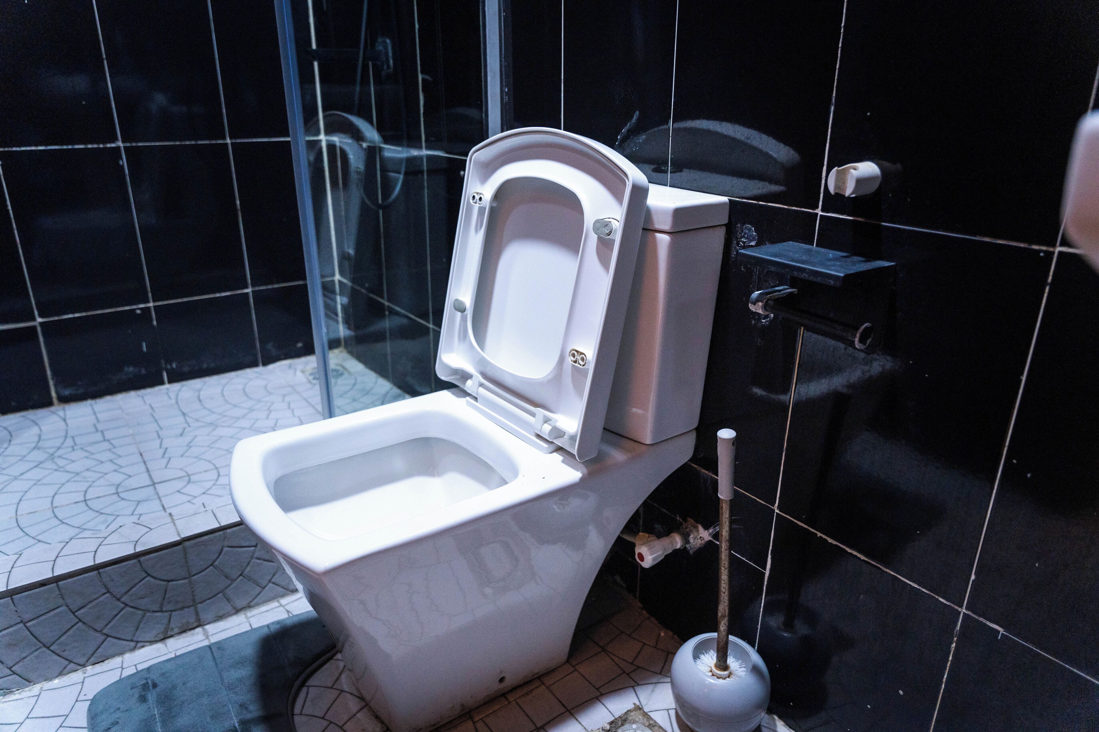 A toilet with a raised seat and a bidet attachment.