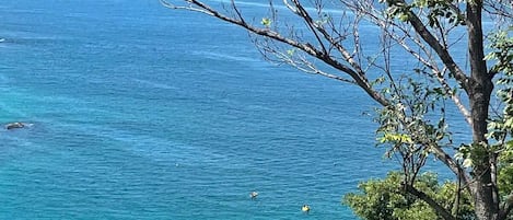 Plage à proximité, serviettes de plage