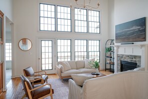 Smart TV, fireplace, books