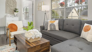 Smart TV, fireplace, books, computer monitors
