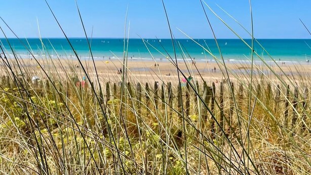 A beach with tall grasses in the foreground and a clear blue sky. - Charming villa - beaches 5 minutes away (Carolles)