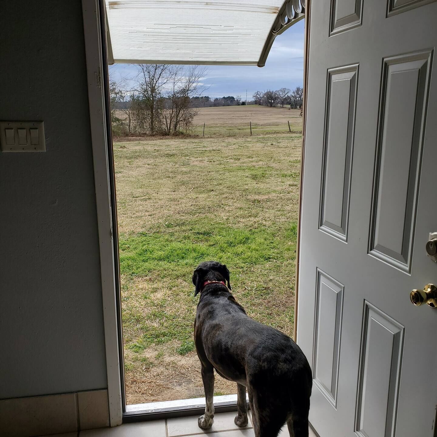 The Meadow Vista Apt B