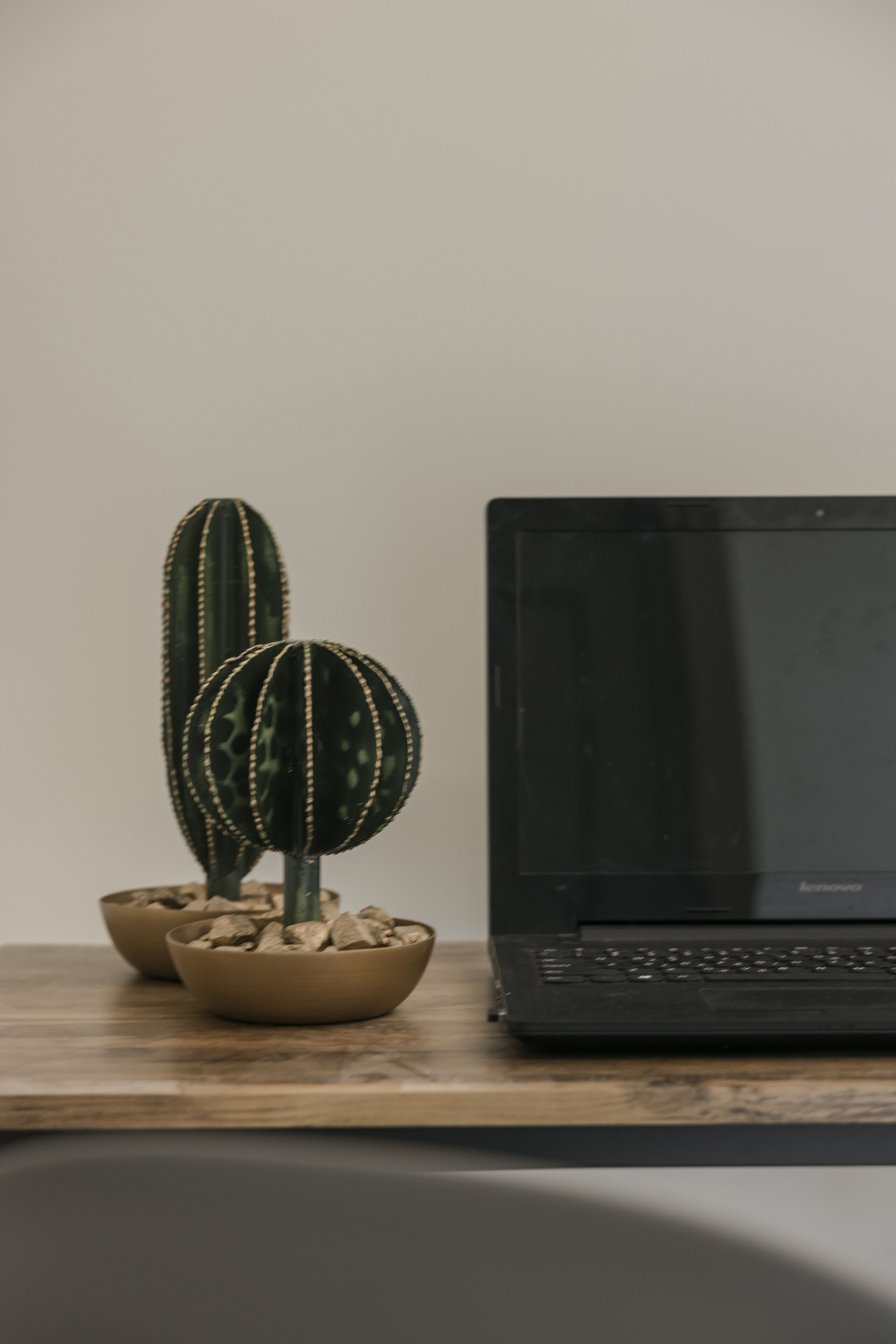 A laptop on a wooden surface with two cacti in ceramic pots.