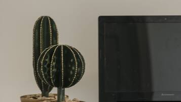 A laptop on a wooden surface with two cacti in ceramic pots.