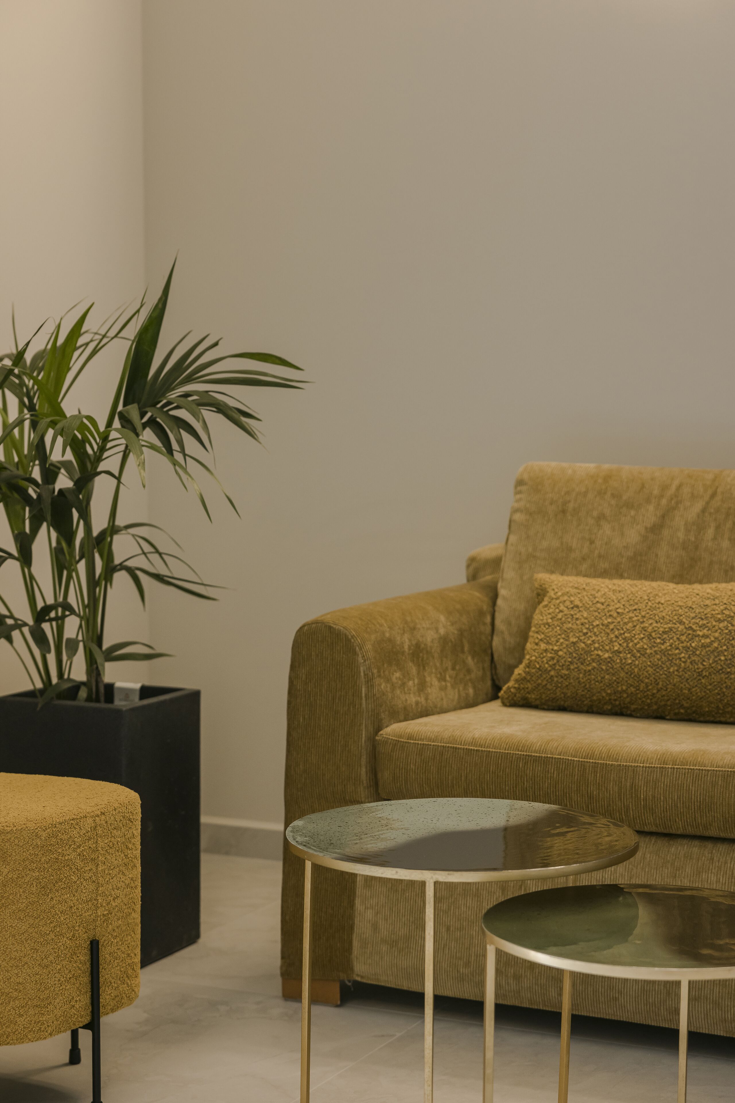 Una sala de estar moderna con un sofá, dos mesitas auxiliares y una planta en maceta.