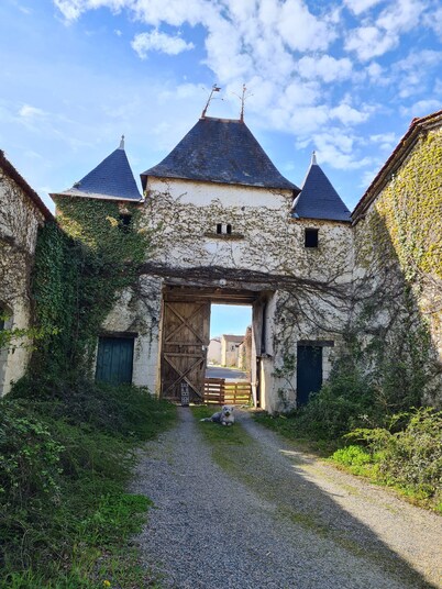 Belle Demeure au Chateau