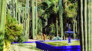 Um jardim com cactos altos e uma fonte azul.