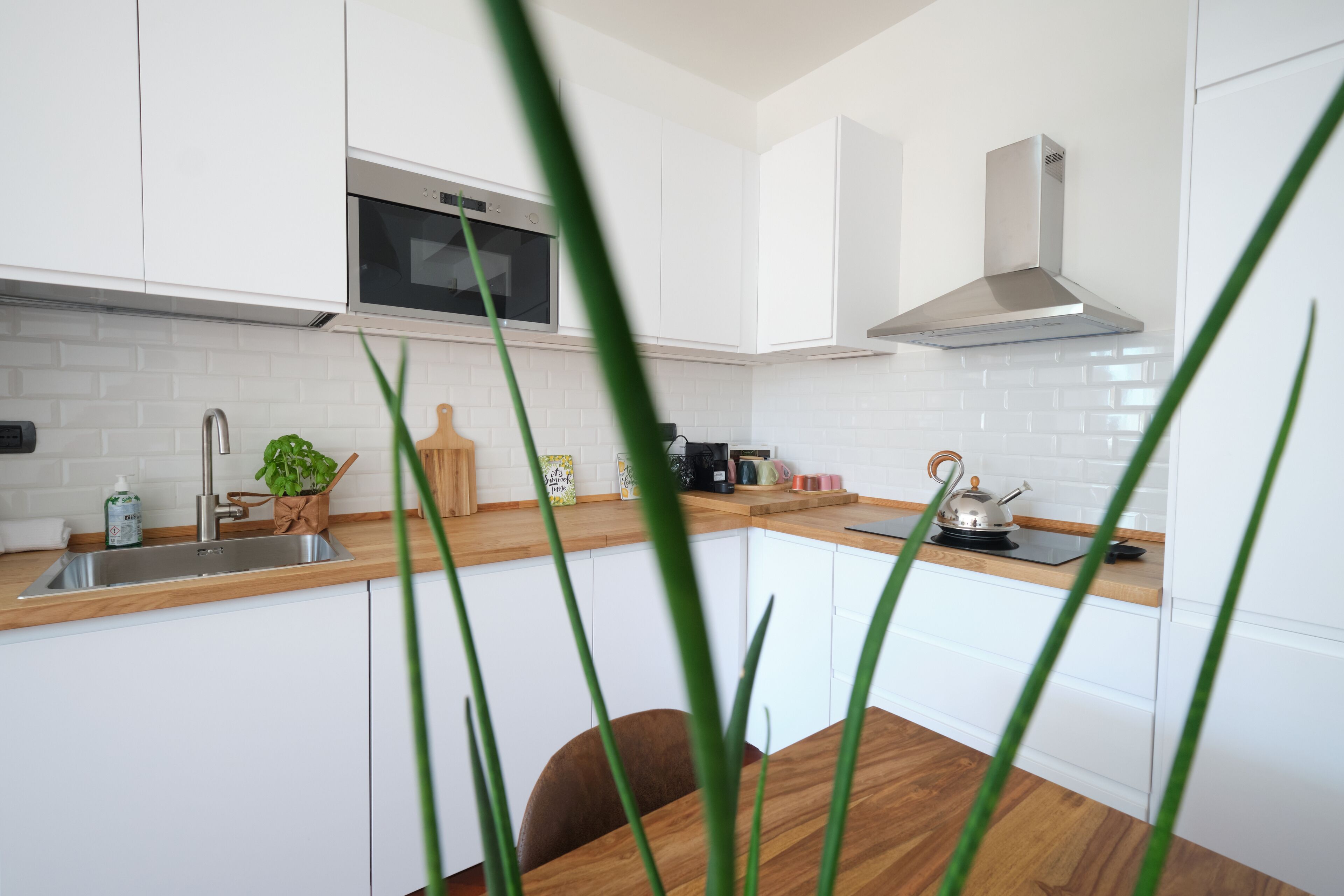 Suite 23 near the Colosseum and the Circus Maximus