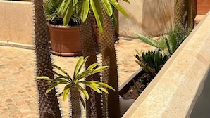 A courtyard with cacti and flowering plants, a palm tree, and a building with a red facade. - Private Moroccan Riad • Rooftop Dinners & Pool • Luxury Experience (Marrakesh)