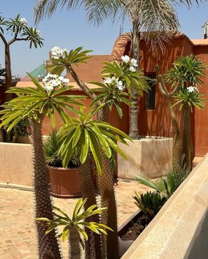 Property grounds - Private Moroccan Riad • Rooftop Dinners & Pool • Luxury Experience (Marrakesh)