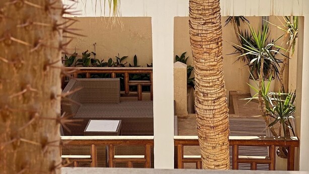 A sunlit outdoor seating area with wicker furniture and a palm tree. - Private Moroccan Riad • Rooftop Dinners & Pool • Luxury Experience (Marrakesh)