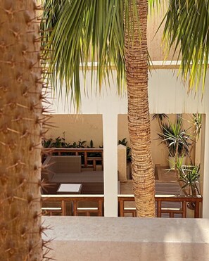 A sunlit outdoor seating area with wicker furniture and a palm tree. - Private Moroccan Riad • Rooftop Dinners & Pool • Luxury Experience (Marrakesh)