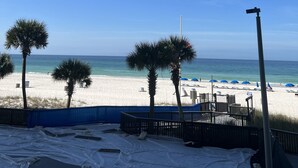 A beach with palm trees, a sandy area, and a clear blue sky. - Complimentary Beach Service with 2 chairs and umbrella (Panama City Beach)