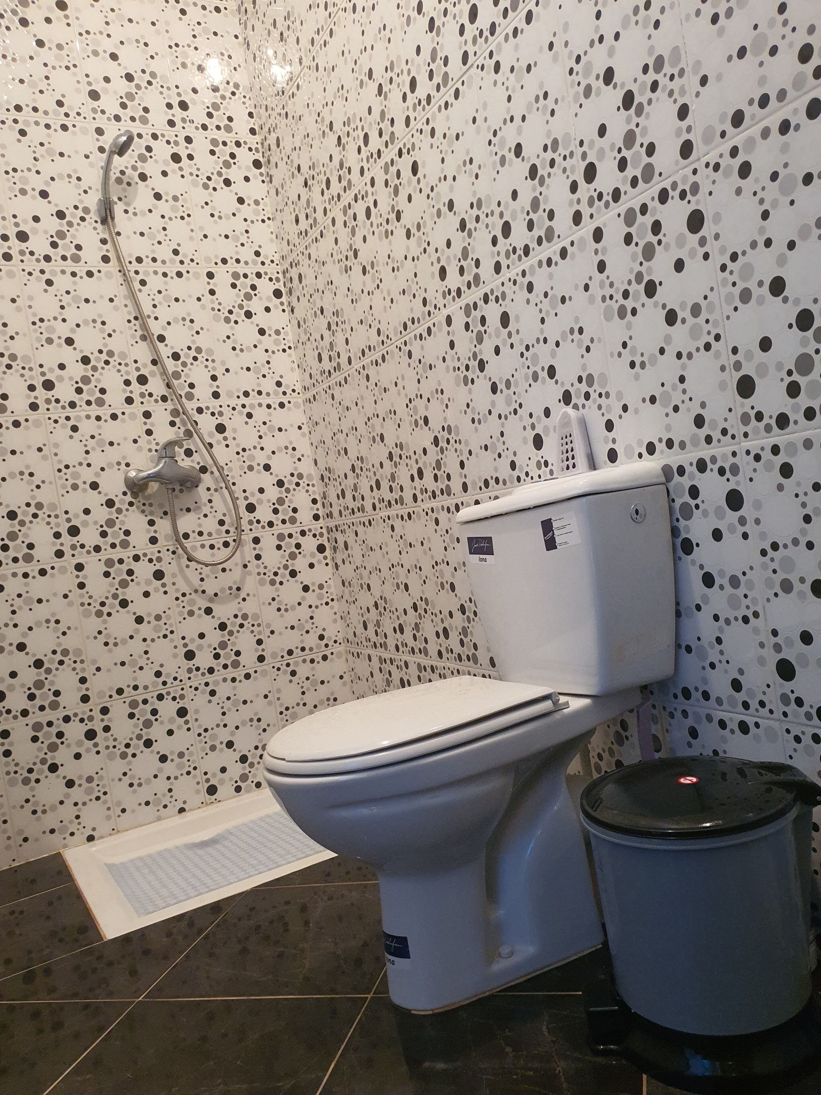 Un bagno con un WC, una doccia e un cestino.