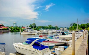 Marina