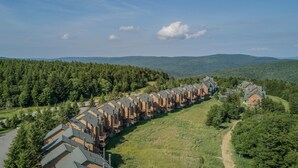 A row of log cabin-style buildings with a long driveway leading to a parking area, surrounded by dense forest and hills in the background. - PR 36 - Spacious & dog-friendly summer getaway. Minutes to bike trails! (Snowshoe)