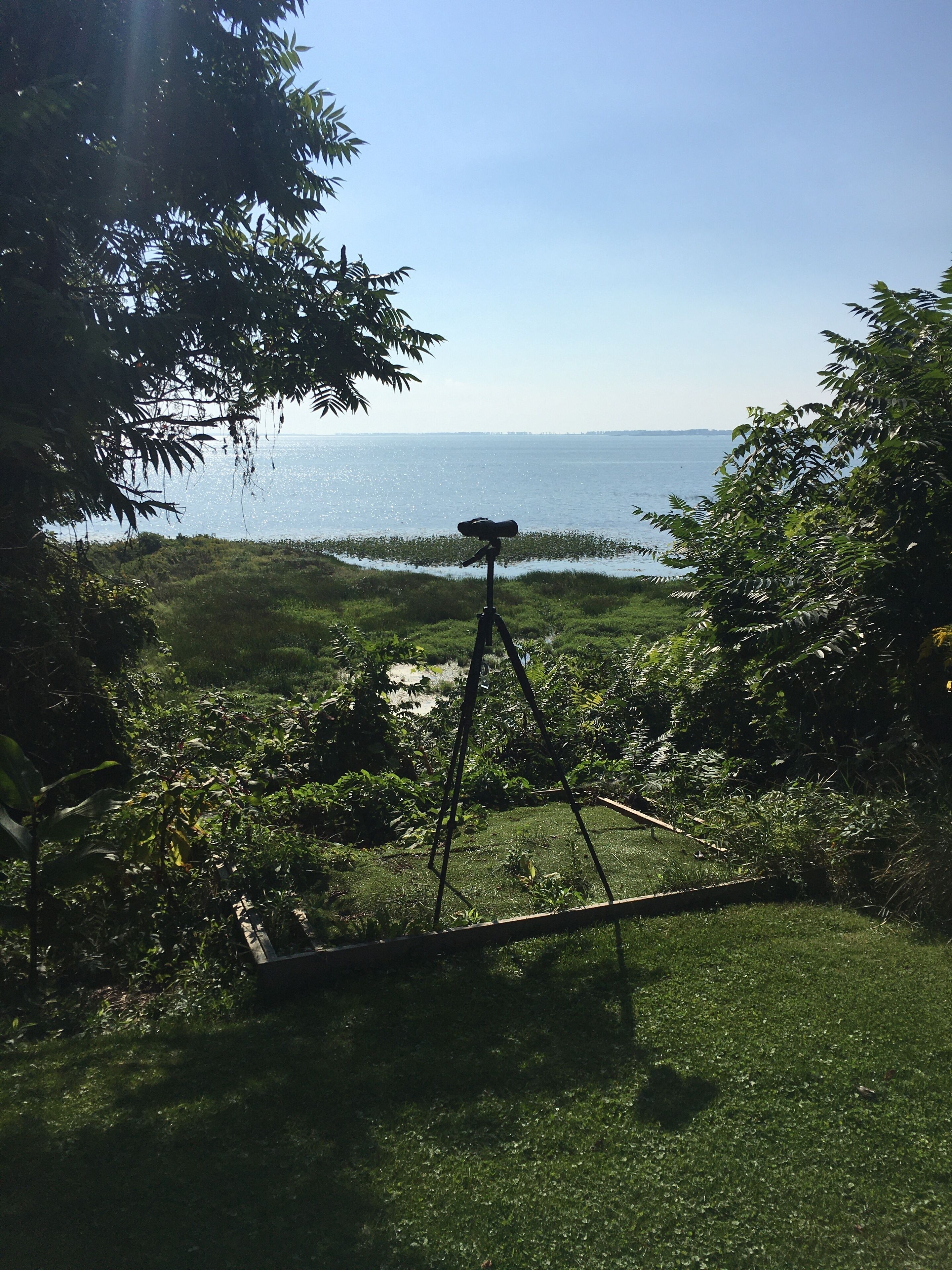 Brilliant Birdwatching, heated pool, gardens, beach, trails, wineries.