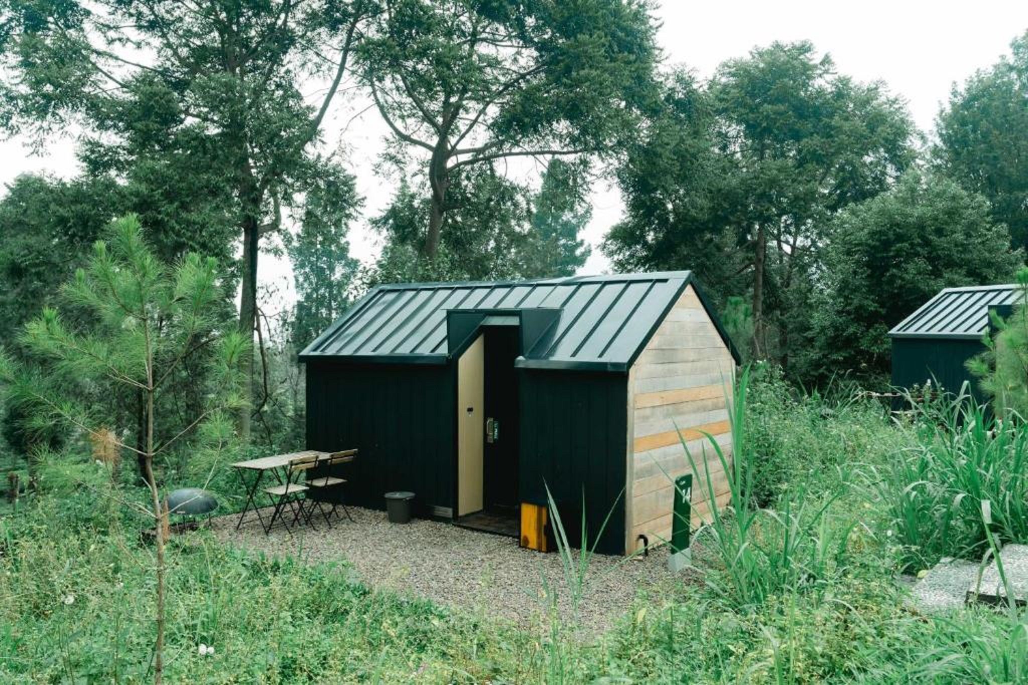 A small, rustic cabin with a sloped metal roof, surrounded by dense greenery.