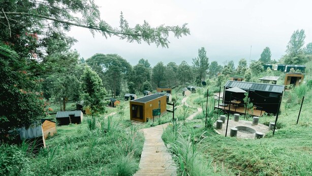 A forested area with a wooden pathway leading to several small cabins. - Bobocabin Gunung Mas (Cisarua)