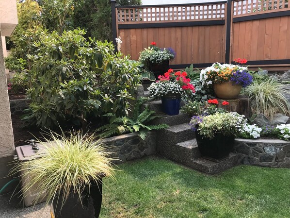 Un jardín con diversas plantas en macetas y una cerca de madera.