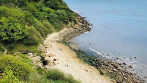 A coastal landscape with a rocky beach, dense greenery, and a clear view of the sea. - Wood View - UK43707 (Scarborough)